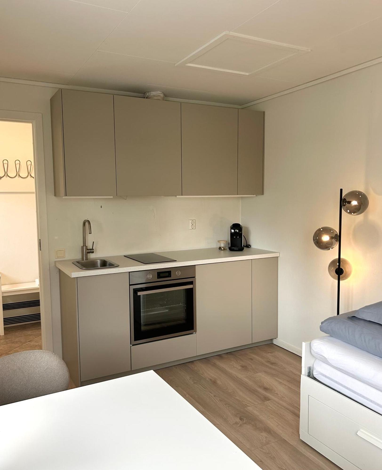 Newly Renovated Studio Apartment - Free Parking And Ev Docking Trondheim Exterior foto